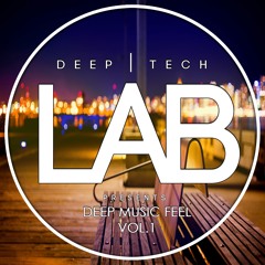 Deep Music Feel, Vol. 1