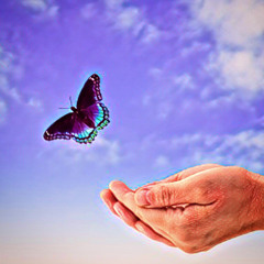 Free (Prod. by Thomas James, David Pietrzak)