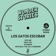 Los Gatos Escobar - Into Me (Tronik Youth Slow Into It Edit).