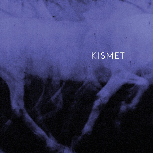 Kismet