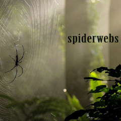 Spiderwebs - Travisty - Week 33 New Track Tuesday