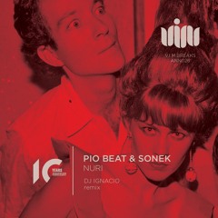 PIO BEAT & SONEK - Nuri (Original Mix) [V.I.M.Breaks]