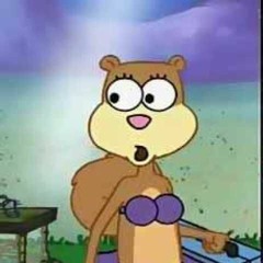 Sandy Cheeks - G YINTZ, SiDEWALKCArL & Captain H00ks