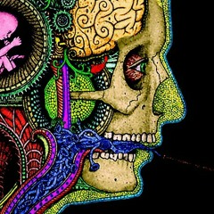 Bitch wait.... I need drugs...