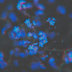 take care yourself [tape] (NOW AVAILABLE ON SPOTIFY)