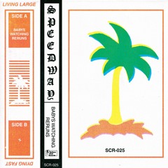 Babys Watching Reruns