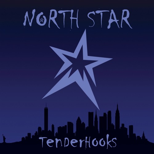 Image result for north star tenderhooks