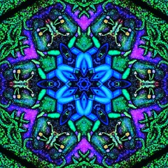 Alpha Portal Creatures & Avalon Shiva mix