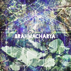::Brahmacharya::