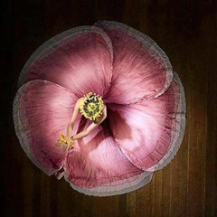 Cengiz Coşkuner - Memik Oğlan.MP3