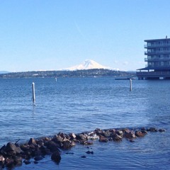 Guitar and Video Games (Acoustic Cover of Sunny Day Real Estate, 1998)