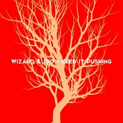 Wizard & Ido - Keep It Pushing