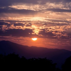 Mr.Spl-Serenity(House)