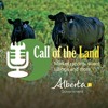 Beef Cattle Research Council Webinars