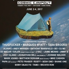 JohnnieWalker CosmicCampout Friday Pool
