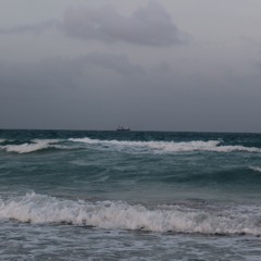 Wonder Why Ft ButtaVellii