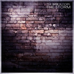 The Storm