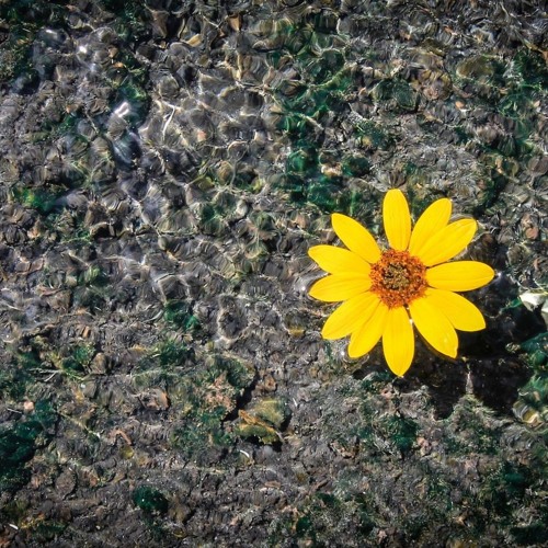 [Amateur] Yêu Trong Ánh Sáng (St: Quốc Bảo)