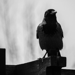 Mighty Mike - Dark Inception