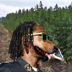 [Tropical House] Snoop Dogg & Wiz Khalifa - Young, Wild and Free ft. Bruno Mars