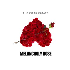Melancholy Rose
