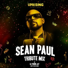 SEAN PAUL - Tribute Mix by Dj Young Jay (2017)