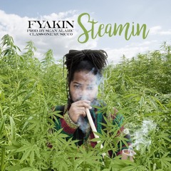 Fyakin - Steamin