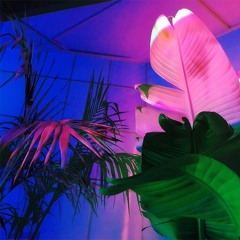 vwave