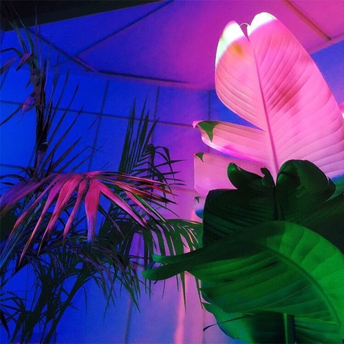vwave