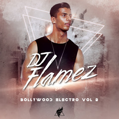 BOLLYWOOD ELECTRO | VOL 2 | DJ FLAMEZ