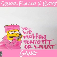 Senor Flacko x Bobe x Gang