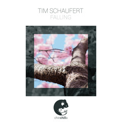 Tim Schaufert - Falling