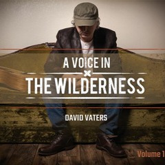 David Vaters - A Voice In The Wilderness Vol. 1 - 08 - David Vaters - See You In Heaven