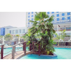 Pools & Palm Trees