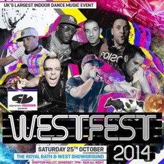 DJ Fallon LIVE @ Slammin Vinyl, Westfest 2014 (Free Download)