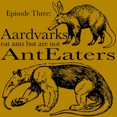 Episode Three: Aardvarks eat ants but are not Anteaters