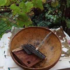 Banguiza on Gadanga (Mbira)