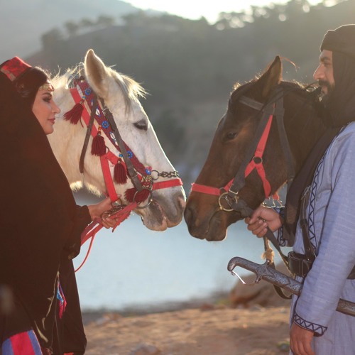 شيلة مجنون انا في الحب مجنون