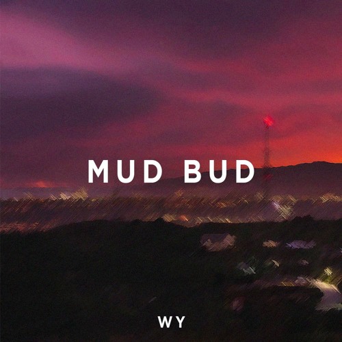 WY - Mud Bud