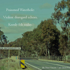 Poisoned Waterhole (Naviarhaiku 190)