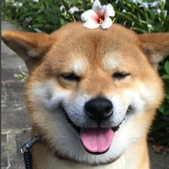 forgetting you slowly ((it's fucking hard))