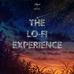 The Lo - Fi Experience