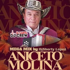 Aniceto Molina Mix 2017 Djshorty Lopez