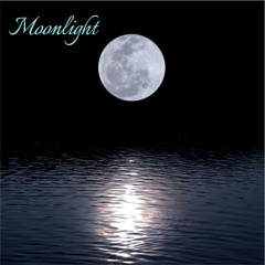 Sinfere x BauxBeater - Moonlight