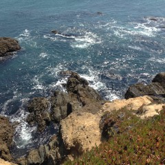 Should've Known Better - Sufjan Stevens