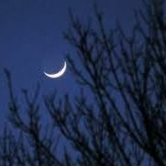 Moon Of The Orient (19ET electric guitar)