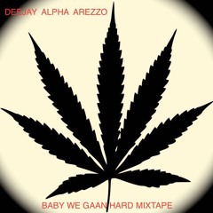 BABY WE GAAN HARD MIXTAPE