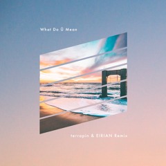 What Do Ü Mean (terrapin & EIRIAN Remix)