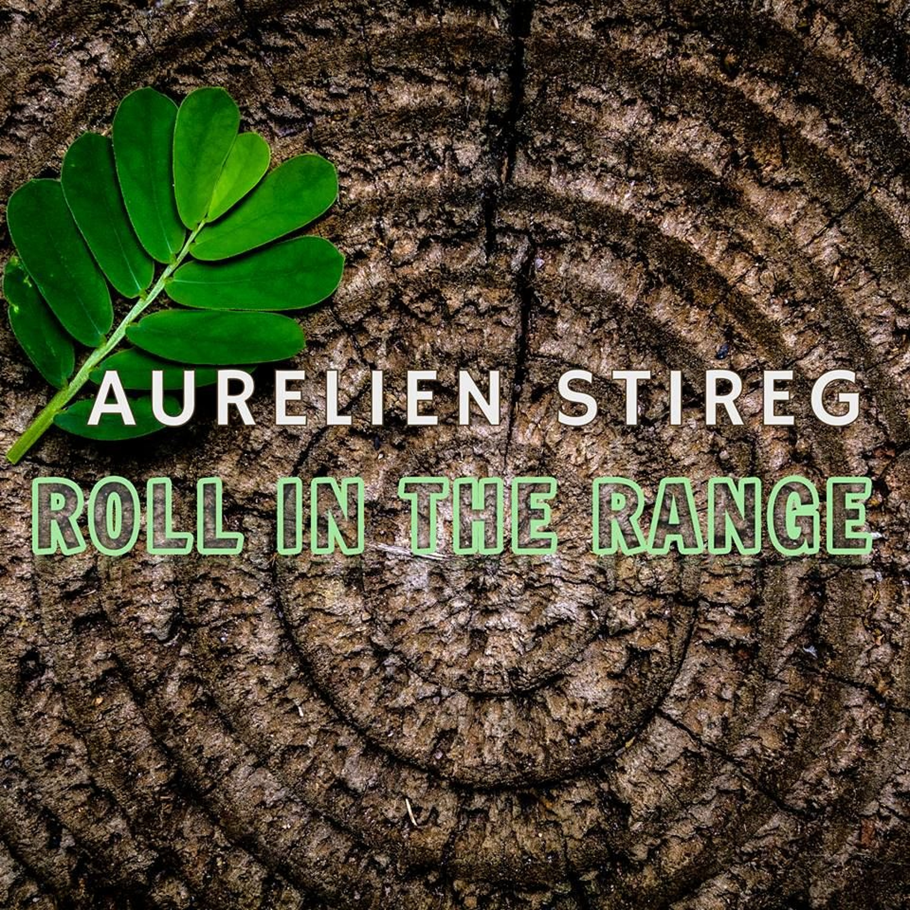 Aurelien Stireg