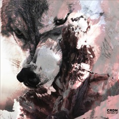 CRDN - Instinct